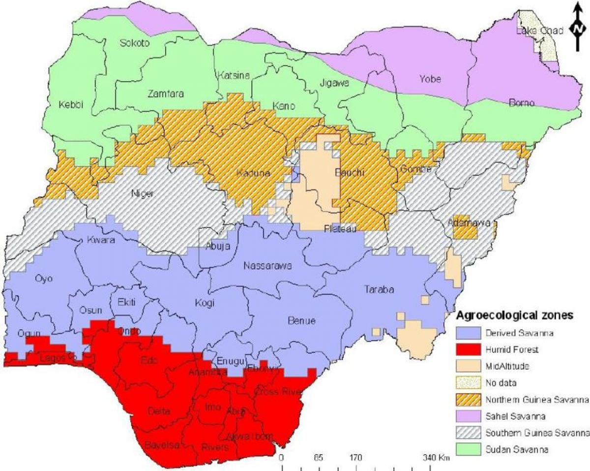 цртање на мапи Нигерији са назнаком зоне вегетације 