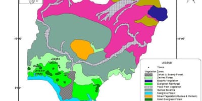 Карта Нигерији са назнаком вегетације